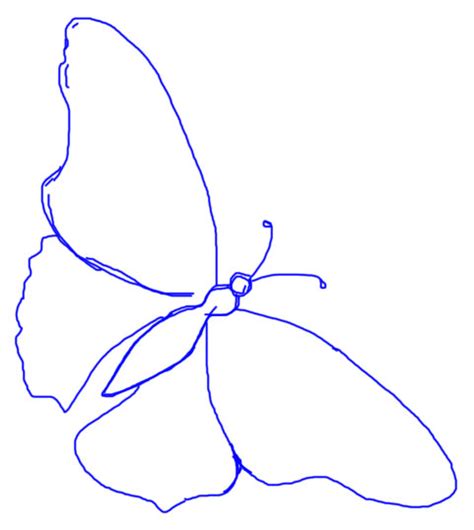 Warnaigambar website mewarnai gambar kupu kupu. Koleksi Terbaik Gambar Sketsa Kupu Kupu Yang Mudah - Gambar Mewarnai