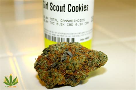 Girl Scout Cookies Strain Review 420cali