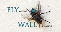 Fly on the Wall by Anne G at spillwords.com