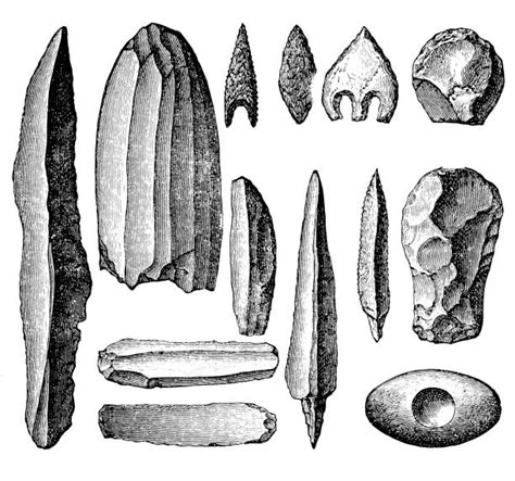 2200 Ancient Stone Tools Stock Illustrations Royalty Free Vector