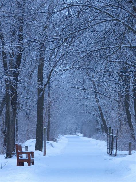 Walking In A Winter Wonderland Photograph By Lori Frisch Fine Art America