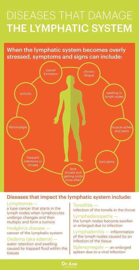 10 Best Detox Lymph Images In 2020 Lymphatic System Health Coconut