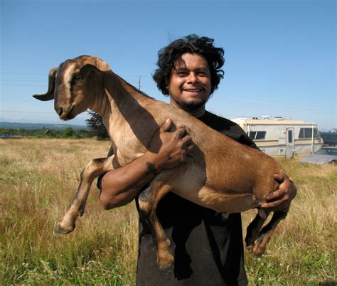New To Farm Life A Man And His Goat Its A Beautiful Thing