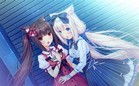 Catgirls ♡ ♡ Wiki Anime Amino