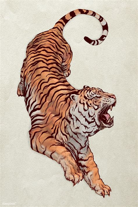 Download Premium Illustration Of Hand Drawn Roaring Tiger Illustration Tiger Illustration