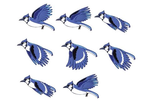 Premium Vector Blue Jay Flying Bird Animation Sprite