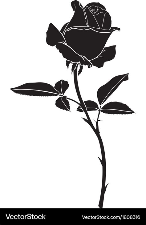 Roses Silhouette Royalty Free Vector Image Vectorstock