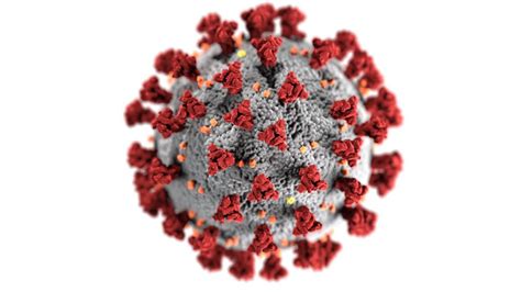 New Tool Outsmarts Covid 19 Virus To Help Vaccine Development