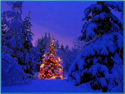 Christmas Winter Scenes Screensavers Download