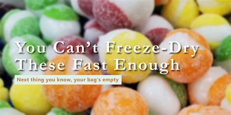 How To Freeze Dry Sour Skittles Freeze Dried Guide