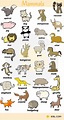 Learn Animals Vocabulary in English - ESLBUZZ