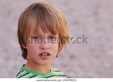 Outdoor Portrait 6 Years Old Boy Stock Photo 244298251 Shutterstock