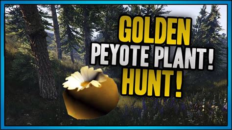 Gta 5 The Golden Peyote Plant Easter Egg Hunt Gta 5 Secret Mystery