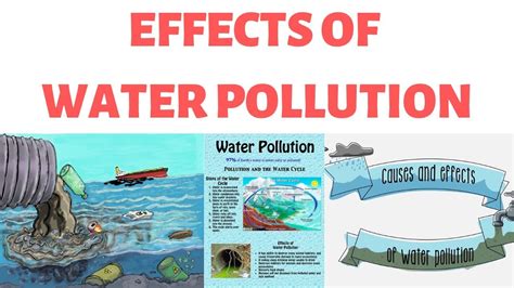 Effects Of Water Pollution On Humananimal Health Bod Cod Ground