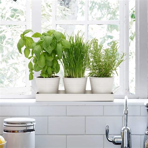 Set Of 3 Indoor Window Plant Pots And Tray Chalk White