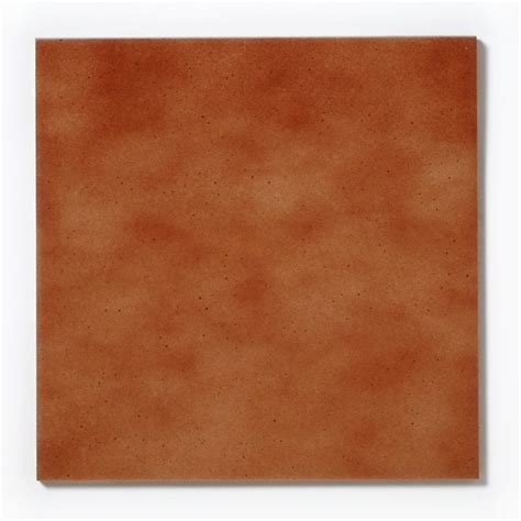 Terracotta Brown 333cm X 333cm Wall And Floor Tile