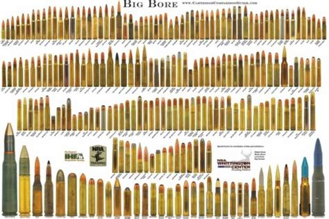 Big Bore Rifle Cartridge Chart Wall Poster Multiple Sizes 11x17 24x36