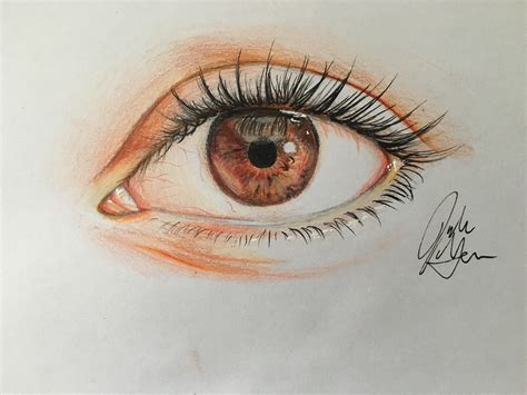How To Draw An Eye In Colored Pencil With Pictures Wikihow Hot
