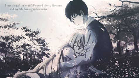 Your Lie In April Cherry Blossoms Wallpapers Top Free Your Lie In