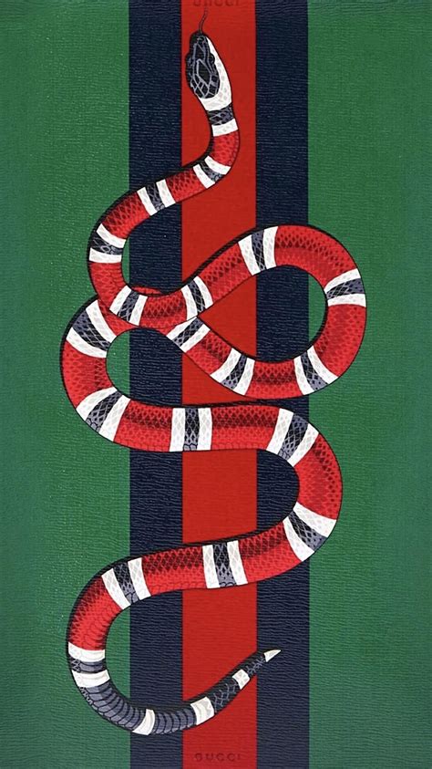 Gucci Snake Wallpapers Posted By Zoey Simpson