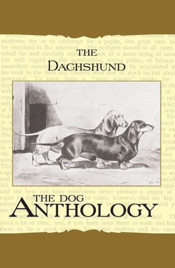 The Daschund A Dog Anthology A Vintage Dog Books Breed Classic