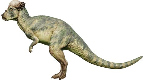 Categorypachycephalosaurs Jurassic World Evolution Wiki Fandom