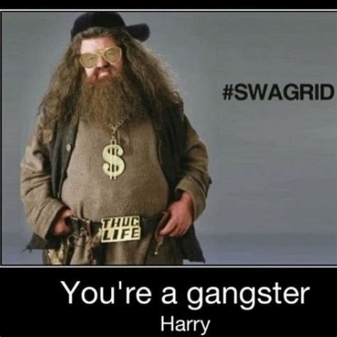 Harry Potter Memes Gangster Harry Potter Swag