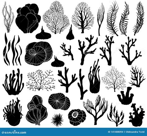 Set Of Marine Corals Silhouettes Stock Vector Illustration Of Scuba