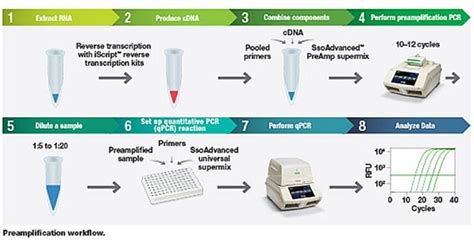 Real Time Pcr Basics