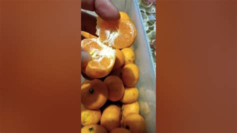 Kiat Kiat Juicy Fruit Cute Orange Shorts Asmr Shortvideo Trending