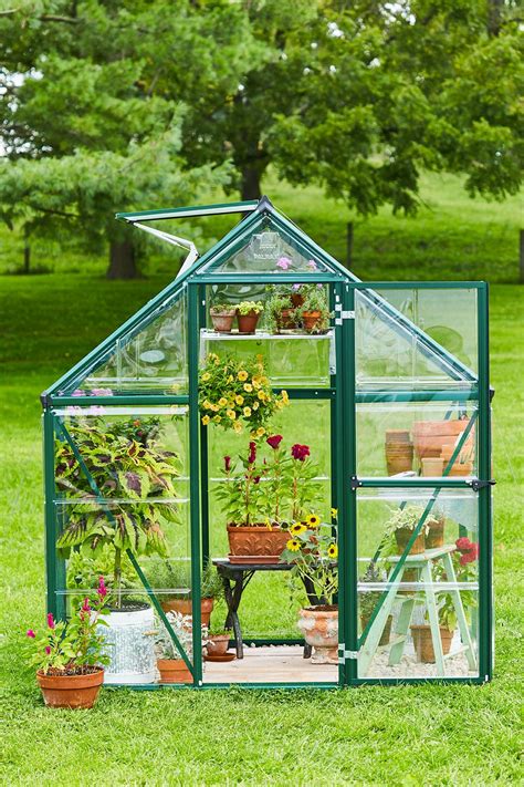 The 9 Best Small Greenhouse Kits You Can Assemble Yourself Backyard