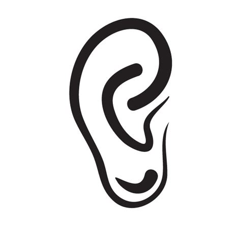 Right And Left Ear Drawing Clip Art Library