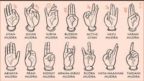 Different Types Of Mudras