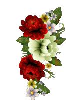 Design pepe le pew pics for ecards, add pepe le pew art to profiles and wall posts, customize photos for scrapbooking and more. Birthday Flower GIFs | Tenor