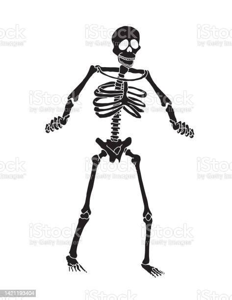 Silhouette Black Human Skeleton Stock Illustration Download Image Now
