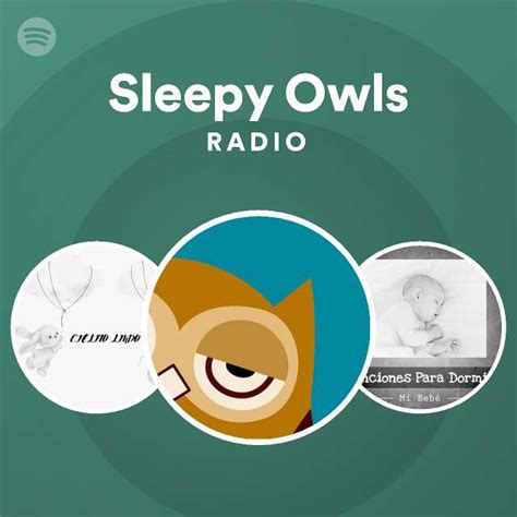 Sleepy Owls Radio Playlist By Spotify Spotify