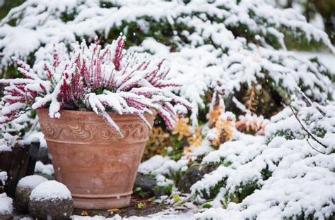 5 Easy Ways To Prepare Your Flower Beds For Winter Tims Complete