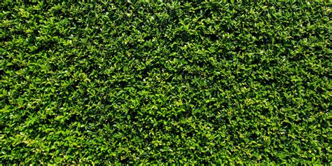 Have a perfect outdoor wedding while inside your indoor venue with our fake grass wall decor. The Mission-Driven Carpets of Interface Flooring