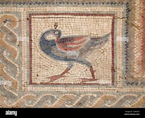 Beautiful Bird In Ancient Roman Mosaic Of Mount Nebo Stock Photo Alamy
