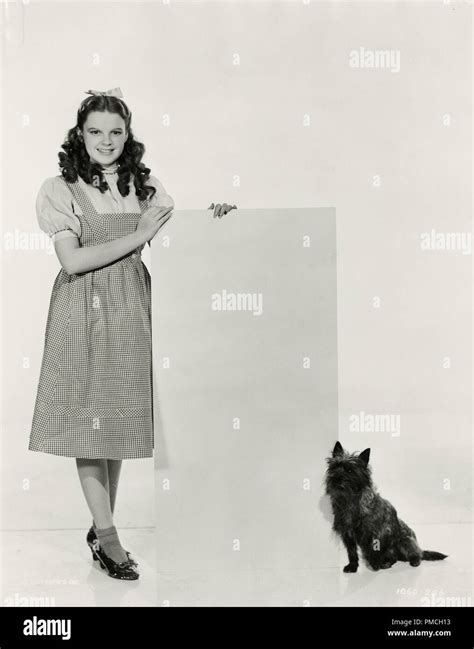 Judy Garland Toto In The Wizard Of Oz Mgm 1939 Photo By