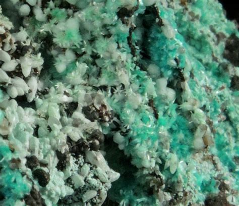 Photographs Of Mineral No 75385 Aurichalcite And Smithsonite From