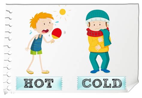 Free Vector Opposite Adjectives Hot And Cold