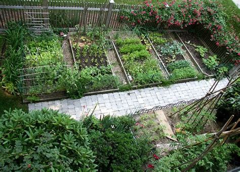 Photo gallery of best vegetable garden layouts with how to beginner guides, small garden ideas and online vege garden planner & designer tools. Small Farm Sustainable Living: Vegie Patch Examples