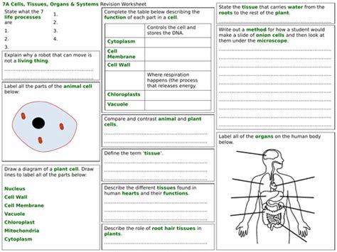 Cells Worksheets 7th Grade Biology Worksheet Cells Worksheet Science