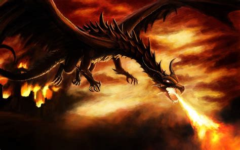Fire Dragons Wallpapers Wallpaper Cave