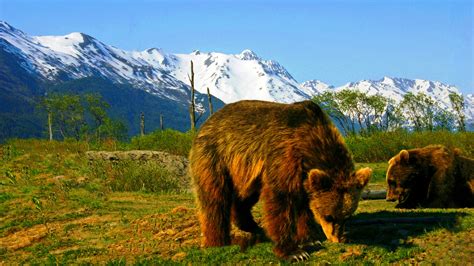 This Underrated National Park Is A Great Destination For Ocean And