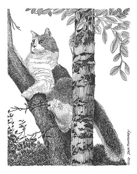 Big Tabby Cat Art Art Of Big Tabby Cats Cats In Trees Tree Climbing