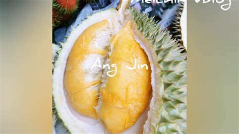 Check spelling or type a new query. Durian Types from Balik Pulau - YouTube