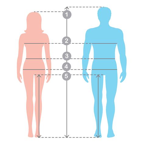 Download free body vectors and other types of body graphics and clipart at freevector.com! Silhuettes of man and women in full length with ...