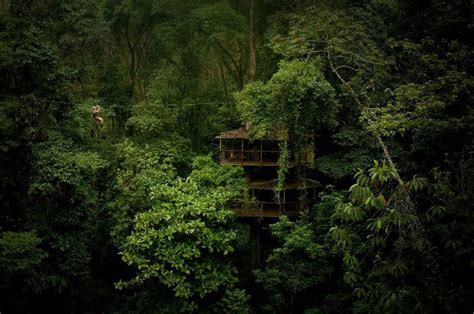 Finca Bellavista A Sustainable Treehouse Community Costa Rica